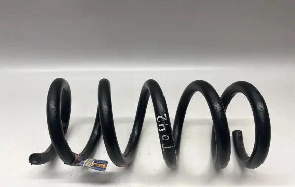 Ford Mustang VI Rear coil spring JR3C5560BC