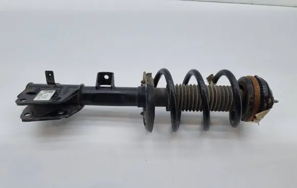 Chrysler Pacifica Front shock absorber with coil spring P68294077AF 824904013543 68294077AF