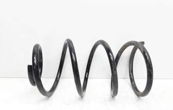 Front coil spring