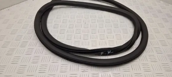 DS Automobiles 4 II Front door rubber seal 