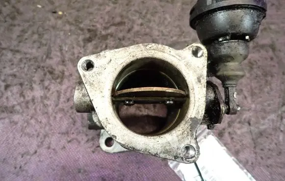 Throttle body valve