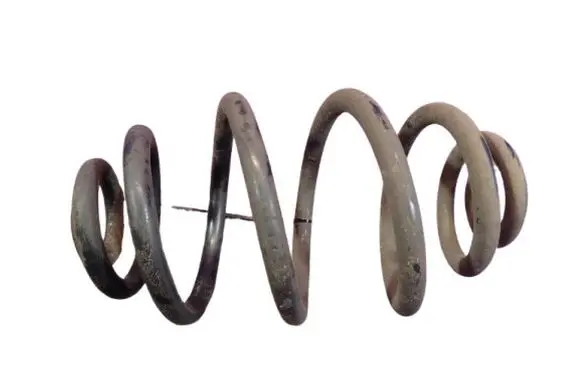 Rear coil spring