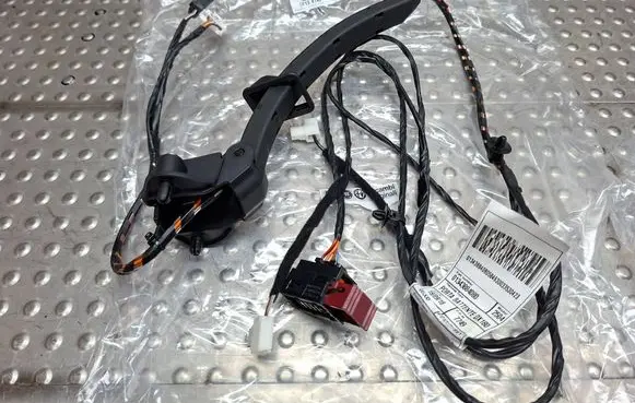 Rear door wiring loom