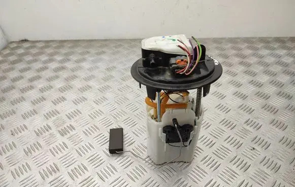 Citroen C3 Picasso In-tank fuel pump 9813573780