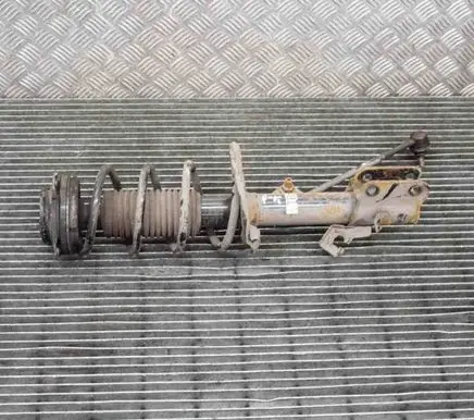 Nissan Juke I F15 Front shock absorber/damper