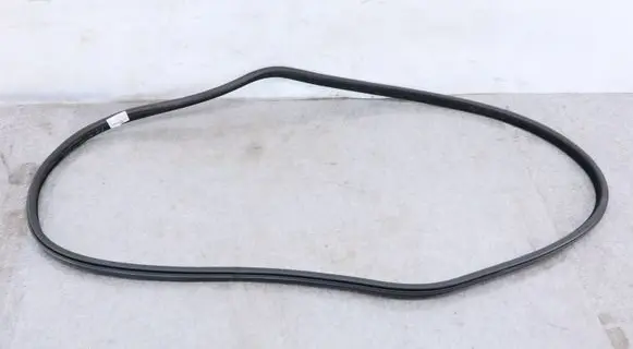 BMW X6M F86 Front door rubber seal 7317852 51767317852