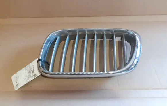 BMW X5 E53 Front bumper upper radiator grill 51318247673