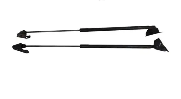 Tailgate/trunk strut/damper