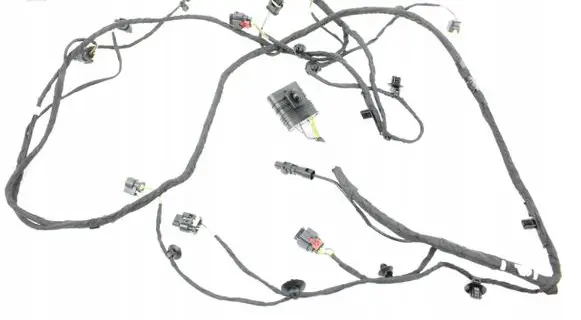 BMW X2 U10 Camera wiring loom 5A95118