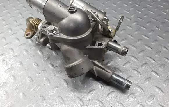 Thermostat/thermostat housing