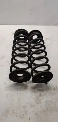 Rear coil spring