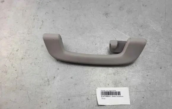 BMW 5 F10 F11 Rear interior roof grab handle 51167495616 51167290022 7495616