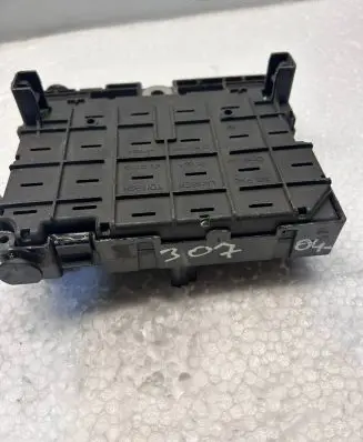 Peugeot 307 BSM Control unit 9650664180