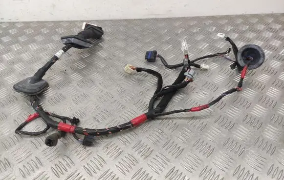 Hyundai Santa Fe Front door wiring loom 916002B200