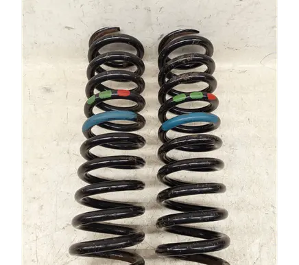Rear coil spring