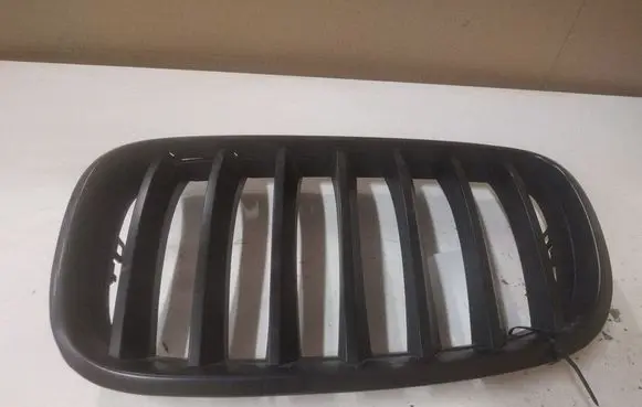 BMW X5 E70 Front grill