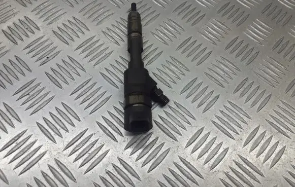 Renault Scenic II - Grand scenic II Fuel injector 82606383