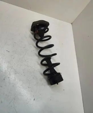 Nissan Qashqai Rear coil spring