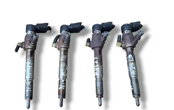 Nissan Qashqai Fuel injector H8200294788