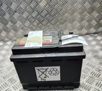 Nissan Juke II F16 Car battery 244108276R