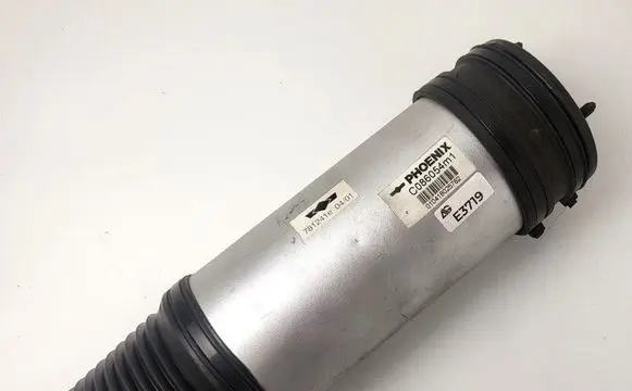 Mercedes-Benz S W220 Air suspension rear shock absorber 2203205113 A2203202438 2203202438