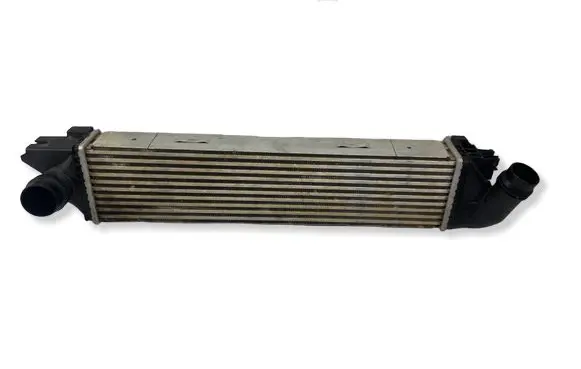 Renault Trafic III (X82) Intercooler radiator 2020W51 96149