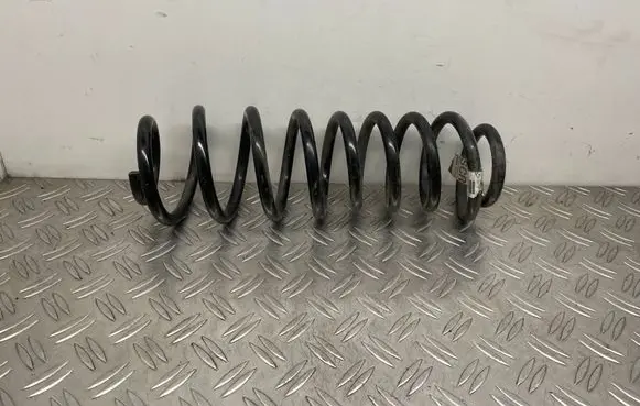 Ford Mustang V Rear coil spring BR335560CB