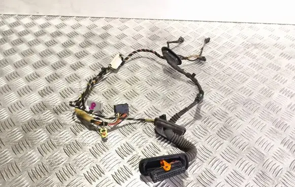 Volkswagen Golf VI Front door wiring loom 5N0959843B