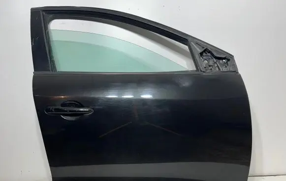 Renault Megane III Front door