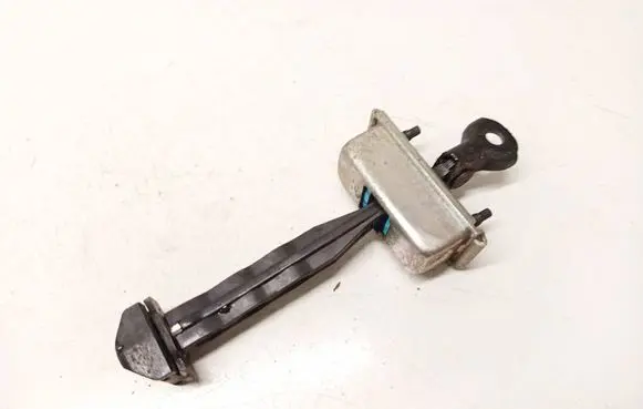 Opel Insignia B Rear door check strap stopper 39089088