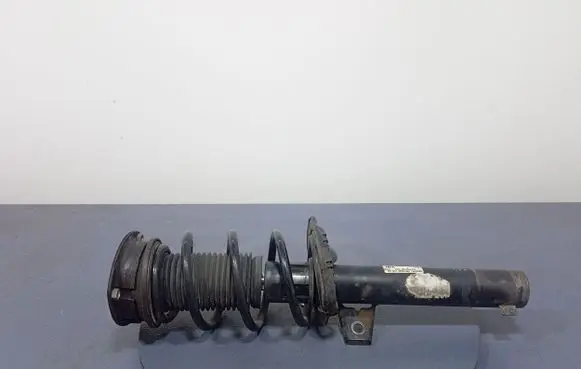 Volkswagen PASSAT CC Front shock absorber/damper 3Q0413031