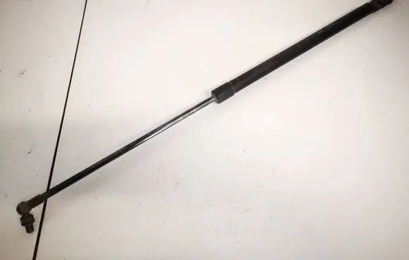 Tailgate/trunk strut/damper