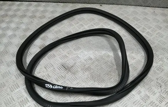 Citroen DS3 Front door rubber seal 