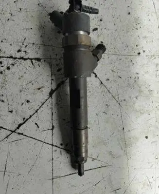 Suzuki Grand Vitara II Fuel injector 0445110230