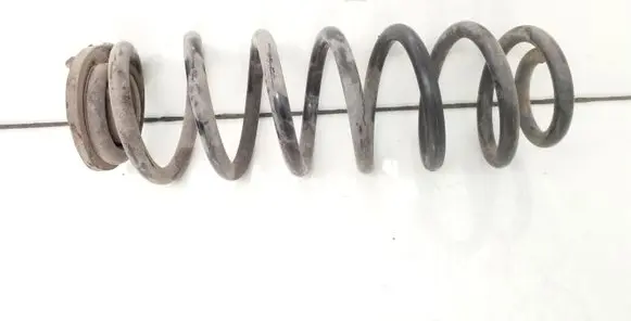 Skoda Octavia Mk2 (1Z) Rear coil spring