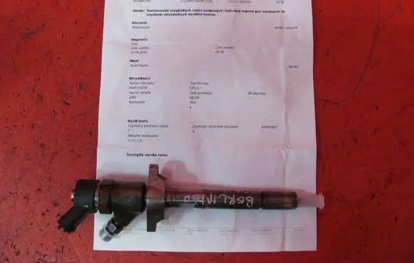 Citroen Berlingo Fuel injector 0445110239