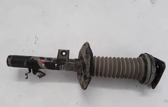 Renault Koleos II Front shock absorber/damper 543021811R