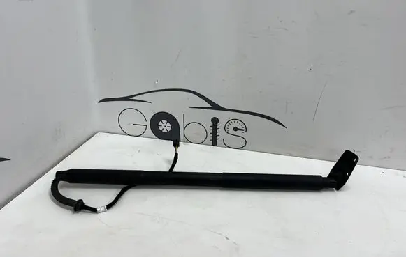 Tailgate strut