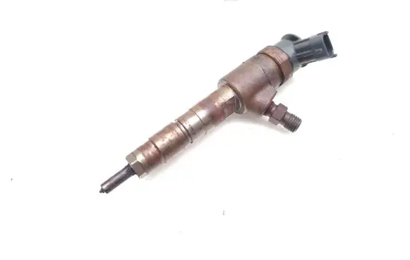 Citroen C3 Picasso Fuel injector 0445110340