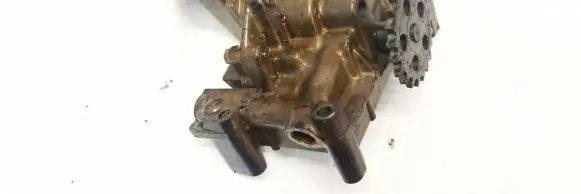 Citroen Berlingo Oil pump 9621114110