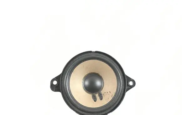 Audi A4 S4 B9 Panel speaker 8W0035454