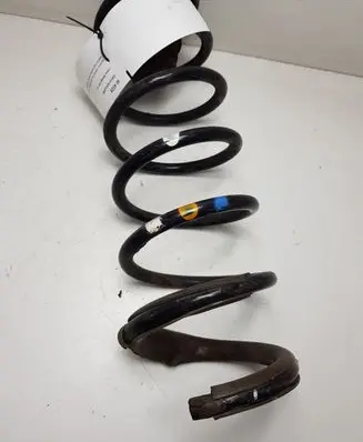 Rear coil spring