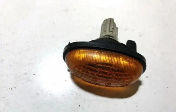 Front fender indicator light
