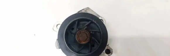 Volkswagen PASSAT B5.5 Water pump 12171455