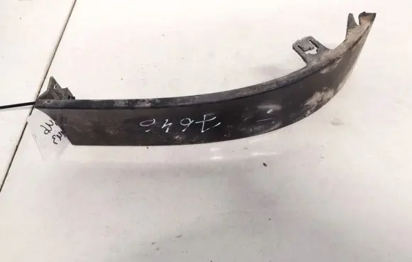 Rear/tail light trim molding