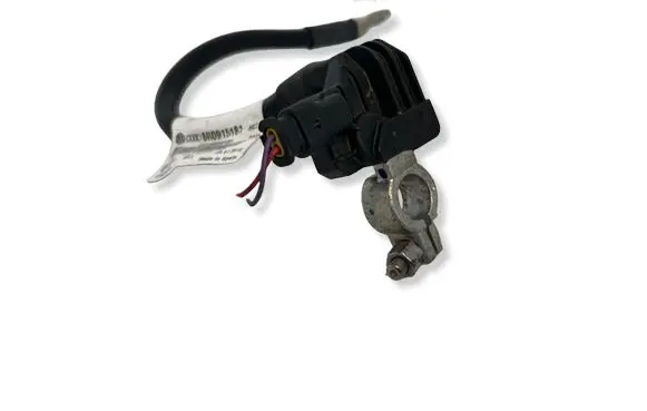 Audi Q5 SQ5 Negative earth cable (battery) 8R0915181
