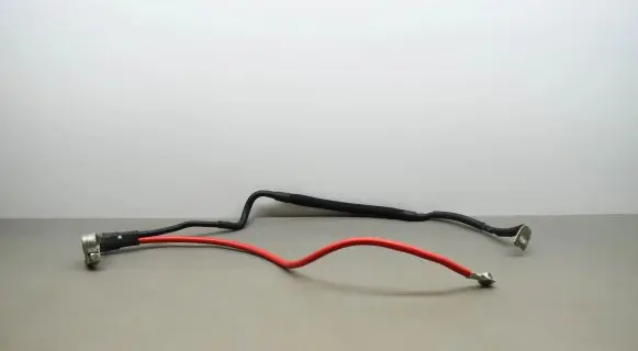 Positive wiring loom