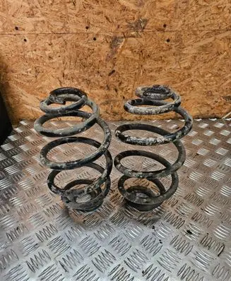 Rear coil spring