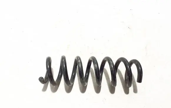 Rear coil spring