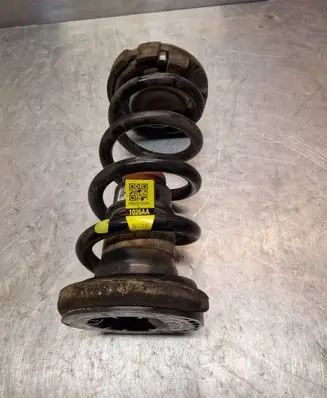 Rear coil spring